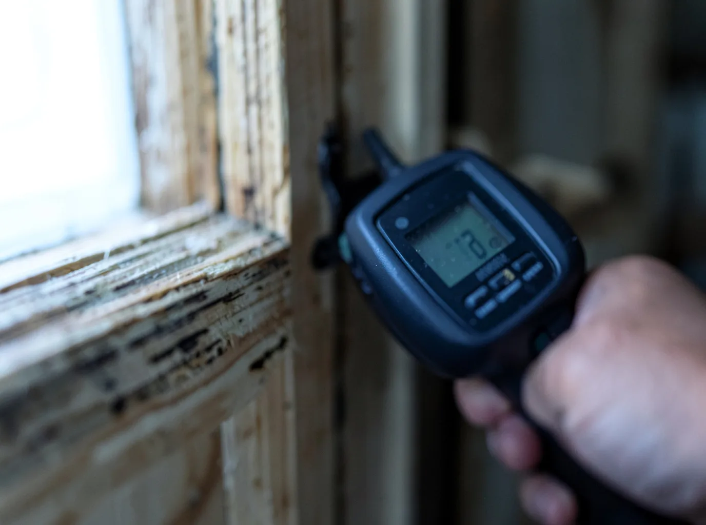 Moisture Inspection And Documentation in Darien Center, NY